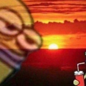 Meet your Posher, Hayden